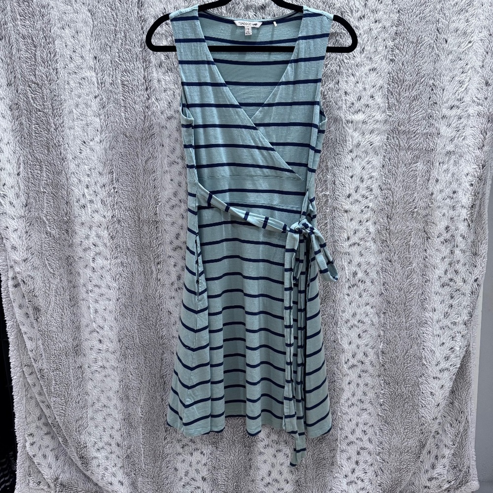 Striped Toad & Co Dress